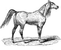 Eac017c.JPG
