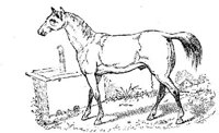 Eac017b.JPG