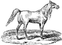 Eac016oo.JPG