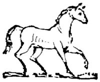 Eac016ll.JPG