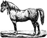 Eac016jj.JPG