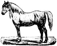 Eac016ii.JPG
