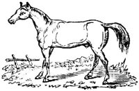 Eac016hh.JPG