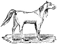 Eac016aa.JPG
