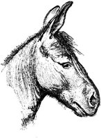 Eac015x.JPG