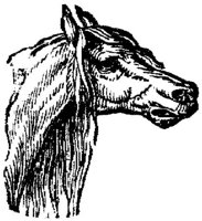 Eac015w.JPG
