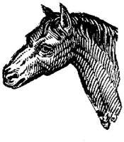 Eac015v.JPG