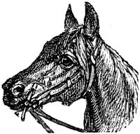 Eac015u.JPG