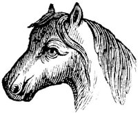 Eac015kk.JPG
