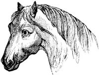Eac015jj.JPG