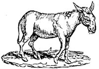 Eac015j.JPG
