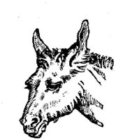 Eac015f.JPG