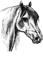 Eac015cc.JPG