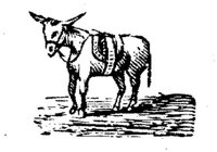Eac015c.JPG