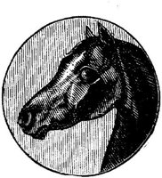 Eac015bb.JPG