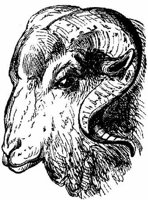 Eac011v.JPG