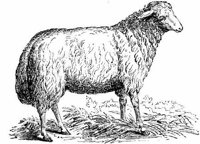 Eac011kk.JPG