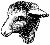 Eac011k.JPG