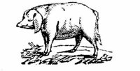 Eac010q.JPG