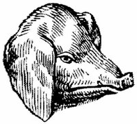 Eac010f.JPG