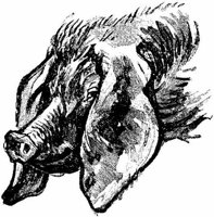 Eac010ee.JPG