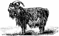 Eac010d.JPG