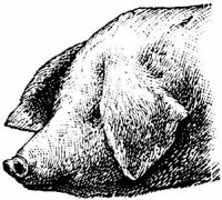 Eac010cc.JPG
