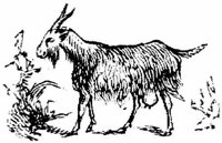 Eac010c.JPG