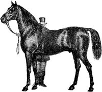 Amb076e.JPG