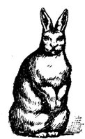 SIT086B.JPG