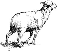 SIT085I.JPG