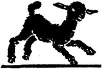 SIT078O.JPG