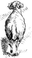SIT075I.JPG