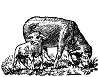 EAC026Y.JPG