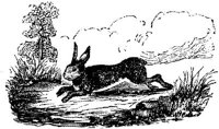 EAC021B.JPG