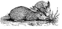 EAC021A.JPG