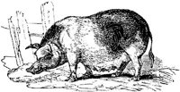 EAC012C.JPG