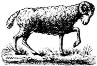 EAC011X.JPG