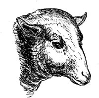 EAC011U.JPG