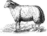 EAC011MM.JPG