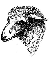 EAC011M.JPG