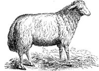 EAC011KK.JPG