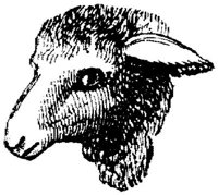 EAC011K.JPG