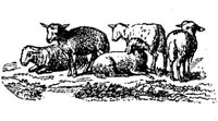 EAC011JJ.JPG