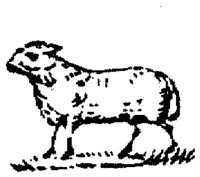 EAC011II.JPG