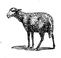 EAC011EE.JPG
