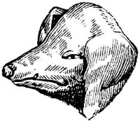 EAC010J.JPG
