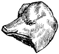 EAC010H.JPG