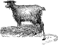 EAC010E.JPG