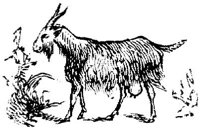 EAC010C.JPG